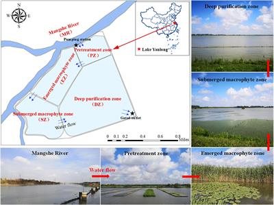 Spatial Variation in the Composition and Diversity of Fishes Inhabiting an Artificial Water Supply Lake, Eastern China